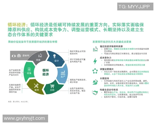 北京羽毛球队快速转型背后的故事与未来发展展望