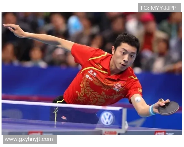 杭州乒乓球队技术分析与发展探讨聚焦乒乓球运动的未来趋势与挑战