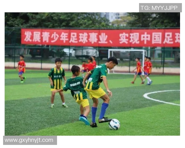 深入剖析上海足球队各位置技术特点与战术优势的全面对比